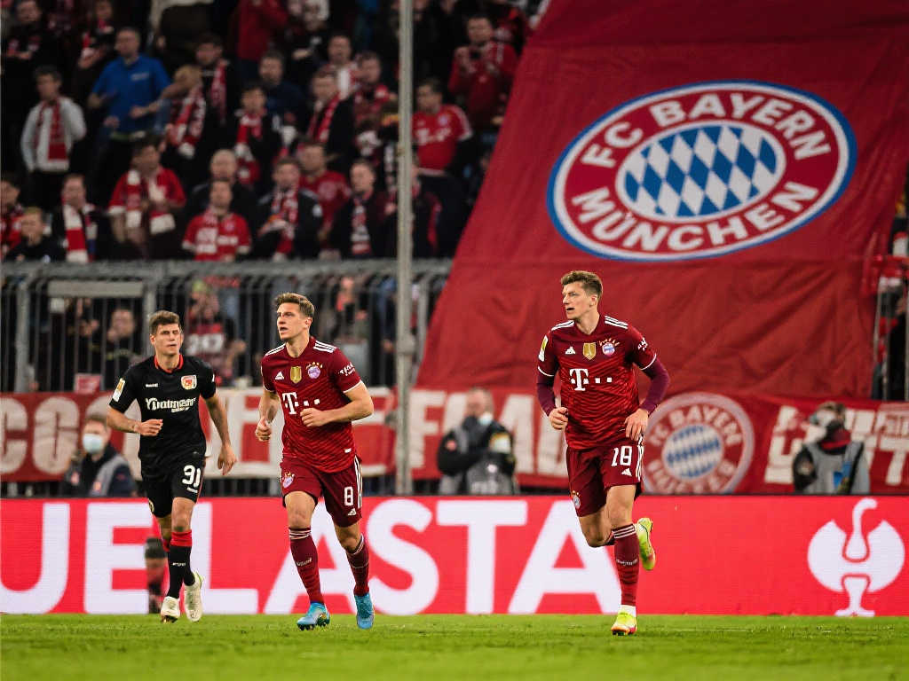 分说明了情 分说明了情